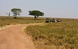 TANZANIA - Serengeti National Park - 088